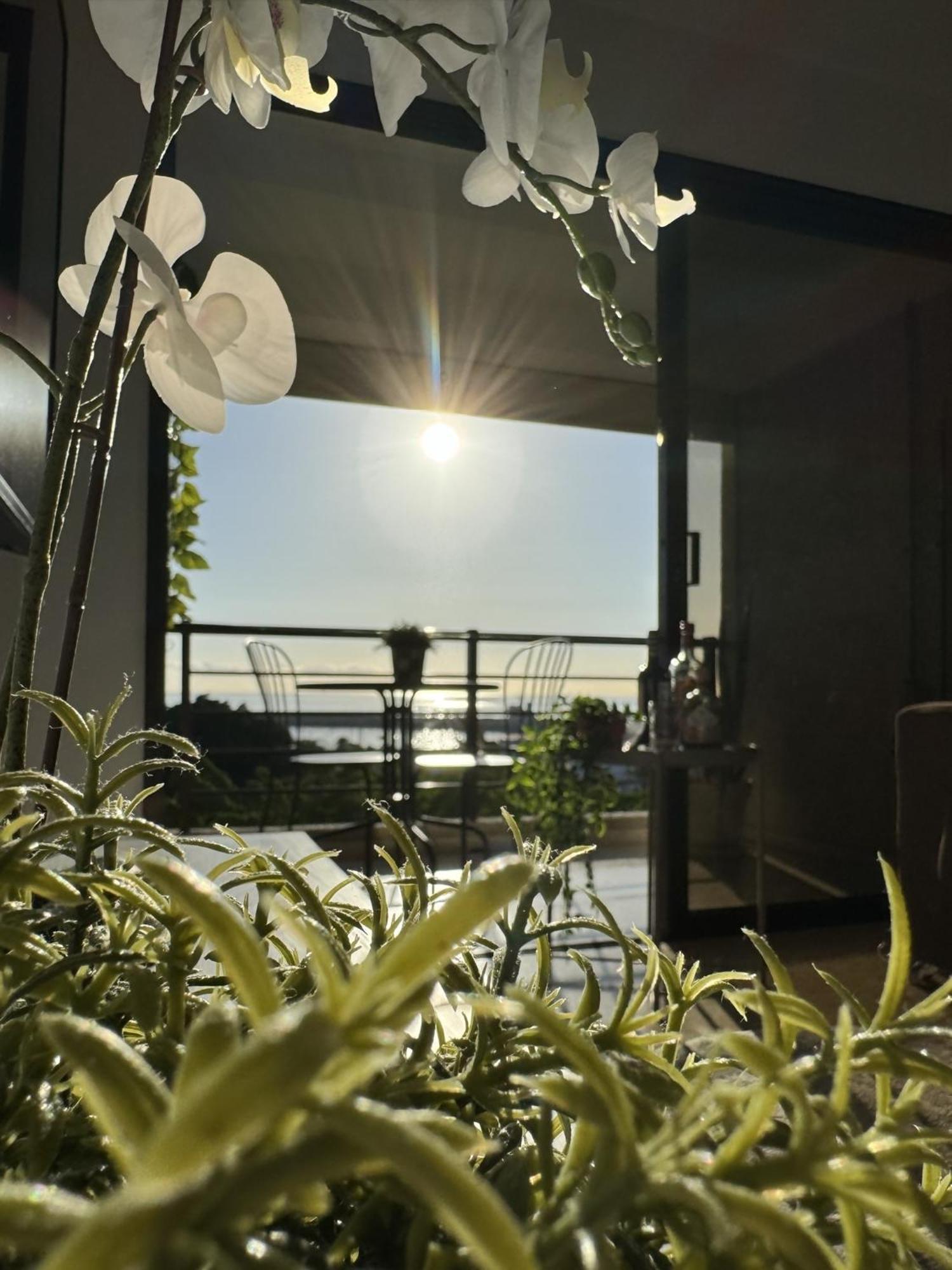 Sovhispan Sc Tenerife Piscina Санта-Крус-де-Тенерифе Экстерьер фото